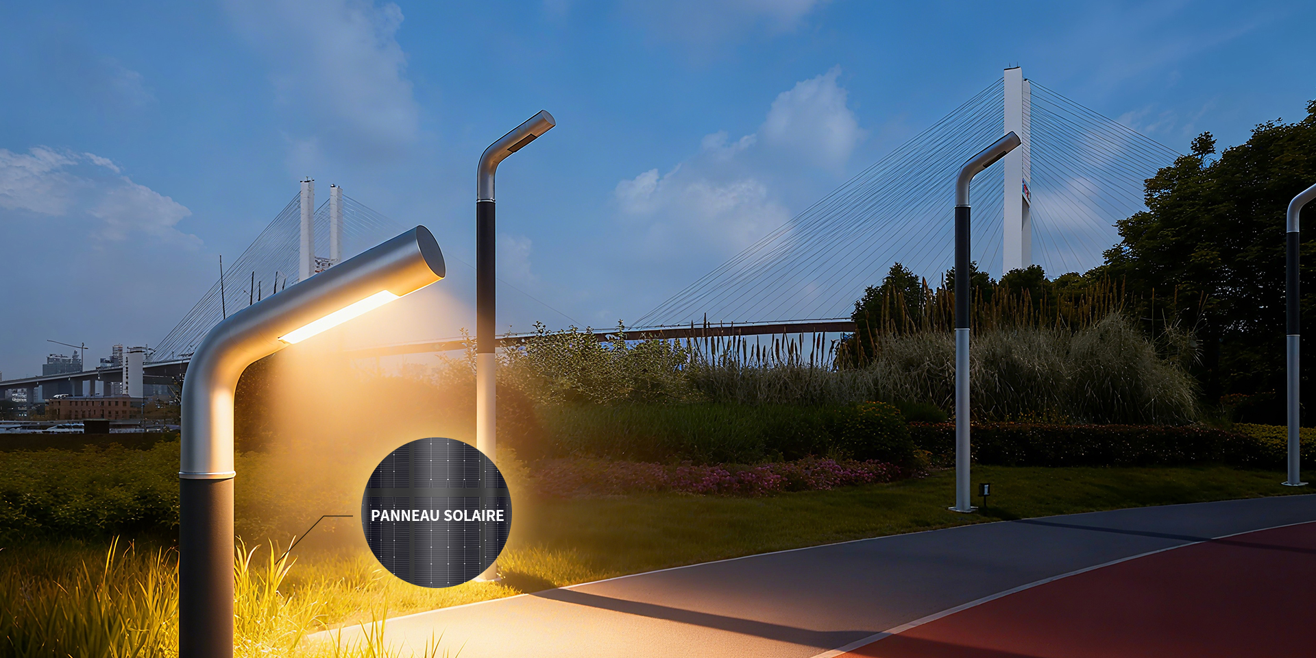 Ningbo Morelux Pole Technology Limited